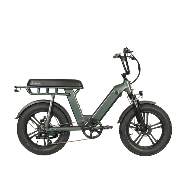 Bicicleta eléctrica F2-2 con neumáticos gruesos