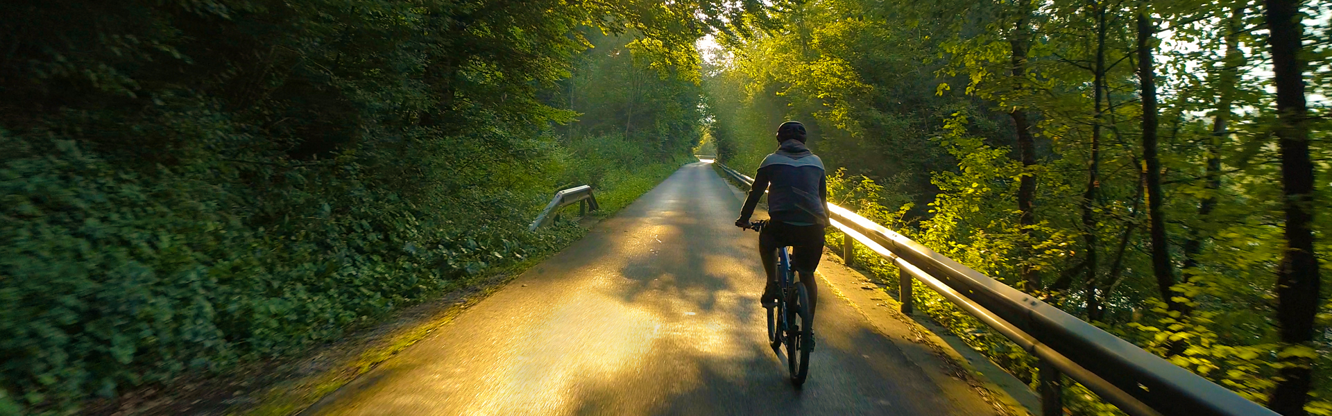 bicicleta eléctrica