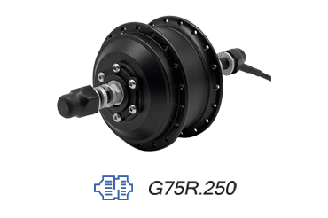 Motor G75R.250