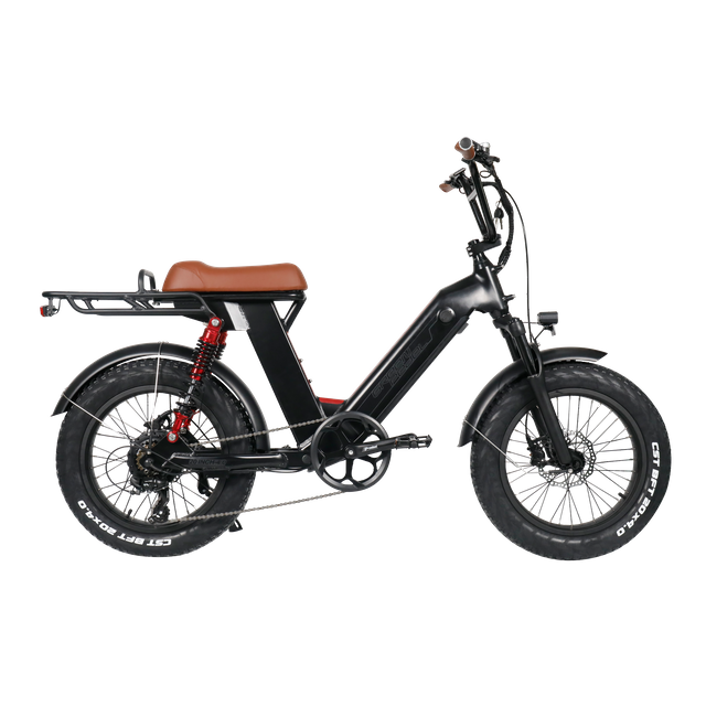 bicicleta eléctrica de carga con neumáticos gruesos